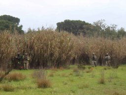 2025-06-01 THE GAME - OPERATION TRACKING DOG